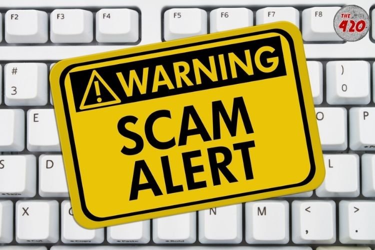 Start Your Business From Home Scam: Kolkata Police Arrest 3 African, 2 Manipuri Women For Running The Syndicate From Delhi