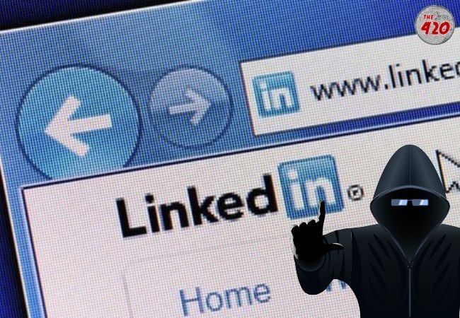 अब LinkedIn पर साइबर क्रिमिनल की नजर, Phishing Attack के मामले में पहले नंबर पर LinkedIn