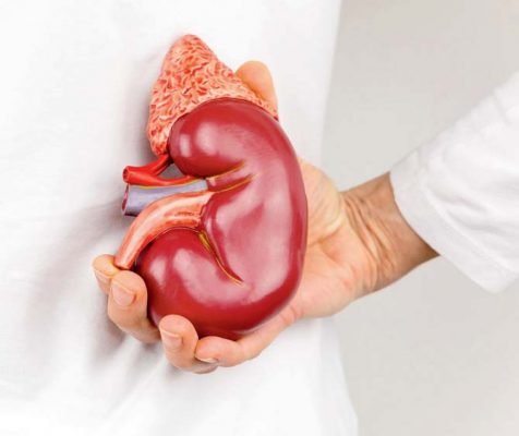 Kidney Transplant के लिए Donor से सपंर्क करने के लिए लगाया WhatsApp DP, हो गई 10 लाख रुपये की ठगी