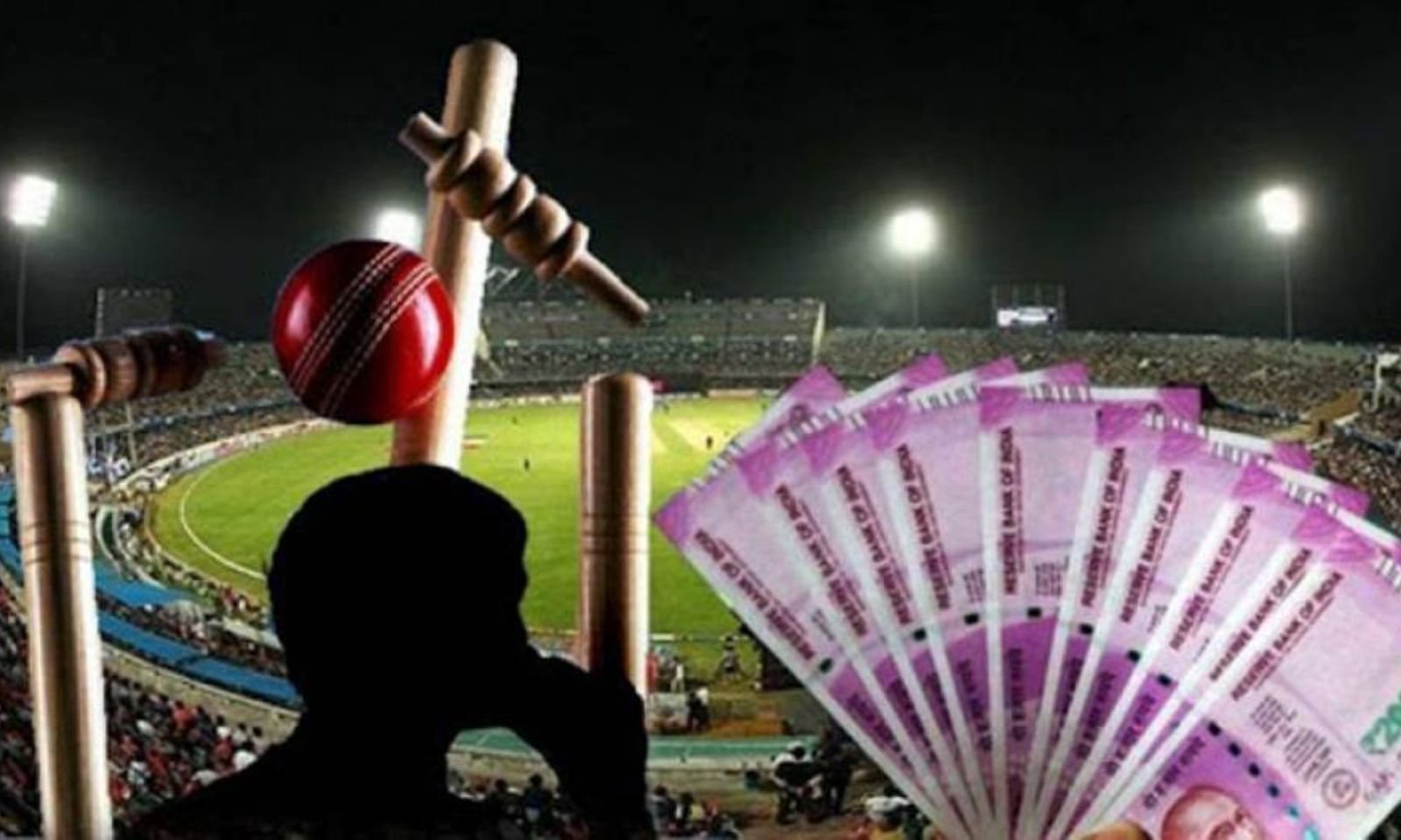 IPL 2024 शुरू होते ही साइबर क्रिमिनल सक्रिय; सट्टा खिलाकर लोगों को लगाते हैं चूना